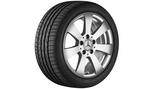 Zevenspaaks velg 40,6 cm (16 inch), Gespoten