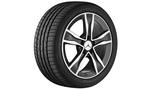 5-spoke wheel 43.2 cm (17 inch), high-sheen