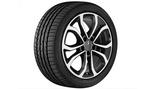 5-twin-spoke wheel 43.2 cm (17 inch), high-sheen