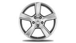 Vijfspaaks velg 43,2 cm (17 inch)