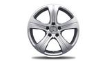 Vijfspaaks velg 43,2 cm (17 inch), Gespoten