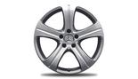 Vijfspaaks velg 45,7 cm (18 inch), Gespoten