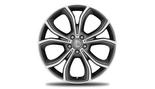 Vijf-dubbelspaaks velg 50,8 cm (20 inch), Glanzend