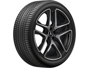 AMG 5-twin-spoke wheel, 53.3 cm (21-inch), High-sheen finish